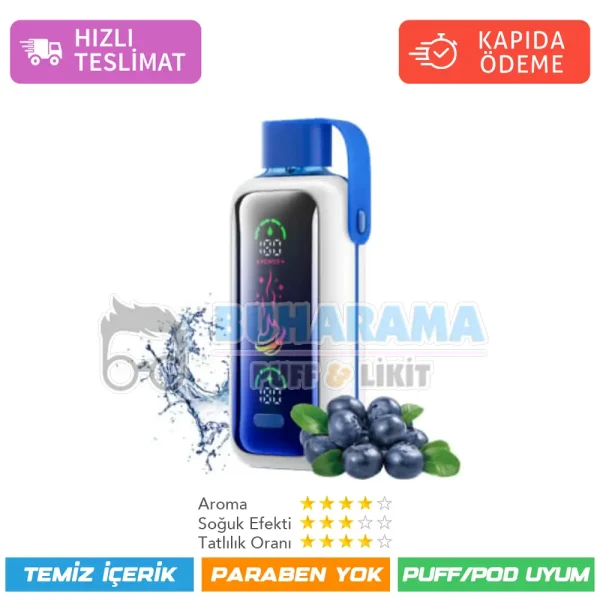 Vozol Star 20000 Puff Blueberry Storm